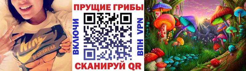 купить наркотики сайты  Старый Оскол  блэк спрут ONION  Галлюциногенные грибы Psilocybe 